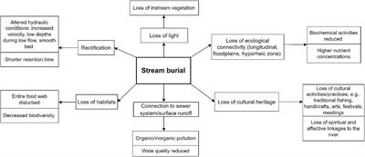 Back to the surface – Daylighting urban streams in a Global North–South comparison